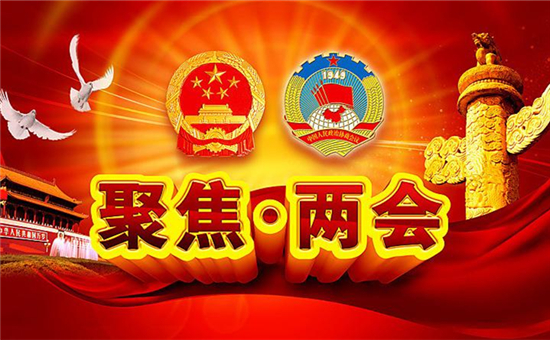 觀點(diǎn)集錦！兩會(huì)上電池行業(yè)傳出了那些重磅級(jí)聲音？