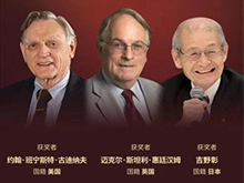 鋰電領(lǐng)域喜獲諾獎 動力電池仍需奮進