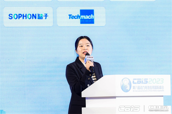 凌云光技術股份有限公司智能工業事業部鋰電行業總監徐捷：賦能極限智造，布局行業未來