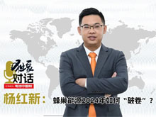 獨(dú)家｜對(duì)話楊紅新：蜂巢能源2024年如何“破卷”？
