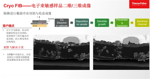 賽默飛王慧敏：前沿表征科技是提高鋰電池質量、性能的“王牌利器”