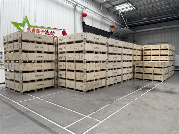 熱復合短刀電池批量交付越南VinFast，蜂巢能源開啟東盟市場新篇章